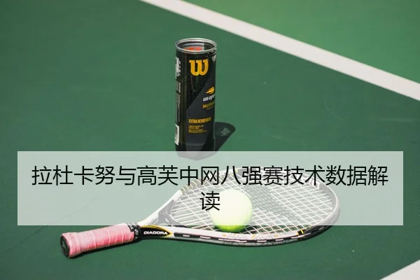 拉杜卡努与高芙中网八强赛技术数据解读